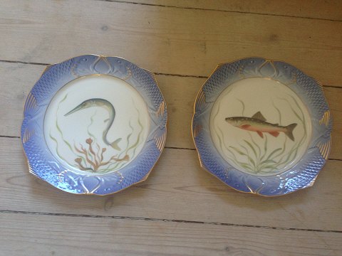 Royal Copenhagen Blue Fish Plates with Fish Relief Border