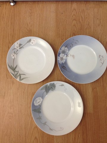 Royal Copenhagen Art Nouveau Dinner Plates with Flower Motif No 10519