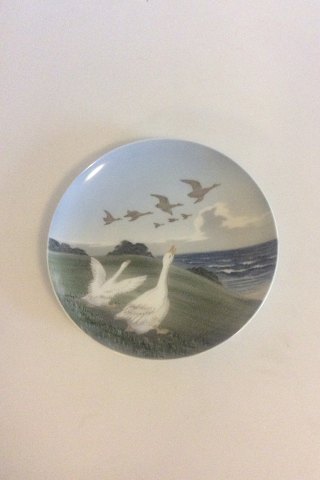 Royal Copenhagen Motif plate with Geese No 1508/1125.