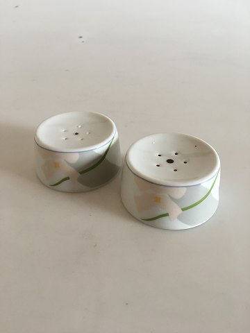 Bing & Grøndahl Grey Orchid Salt and Pepper Set