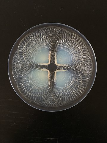 Rene Lalique Coquilles Shell Plate