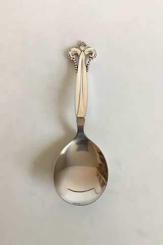 Serving Spoon in Silver and Stainless Steel
