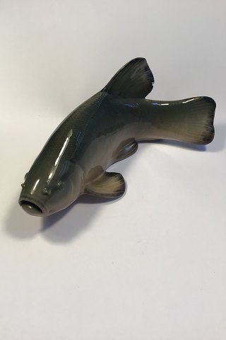Royal Copenhagen Art Nouveau Fish Tench  No 372. Måler 17cm x 7cm.  Har hvid 
"plet" på finne og lille afslag på rygfinne.