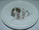 Bing & Grondahl Plate with dog "Labrador" No 3669/357-20
