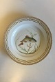 Royal Copenhagen Flora Danica Fish Plate No 20/3549