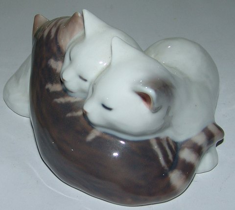 omfatte Resten stille Danam Antik * Royal Copenhagen Figurine 3 Kats lying No 304