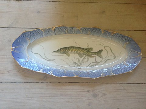 Royal Copenhagen Blue Fish platter with Fish Relief Border No. 1212/3001