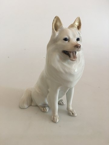 Royal Copenhagen Dog Figurine of White German Spitz No. 977