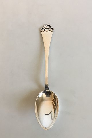 Silver Dinner Spoon