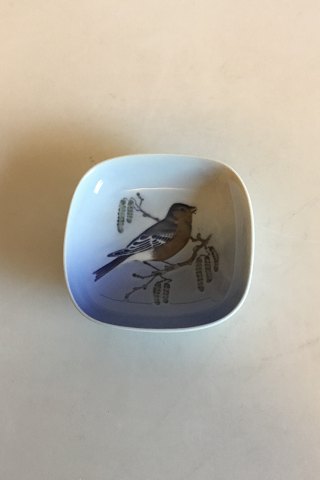 Royal Copenhagen Little square Dish with Common chaffinch No 4858
