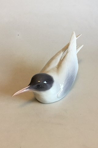 Royal Copenhagen Figurine of Tern squatting No 827