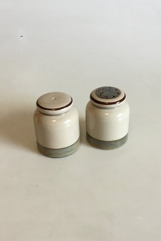 Bing & Grondahl Stoneware Dinnerware Peru Salt and Pepper Shakers
