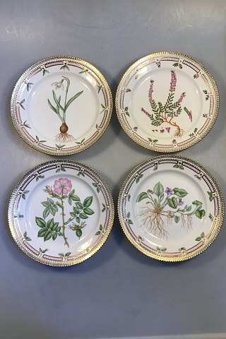 Royal Copenhagen Flora Danica Lunch Plates No 20/3550. (Bi-centennial Set of 4 
plates)