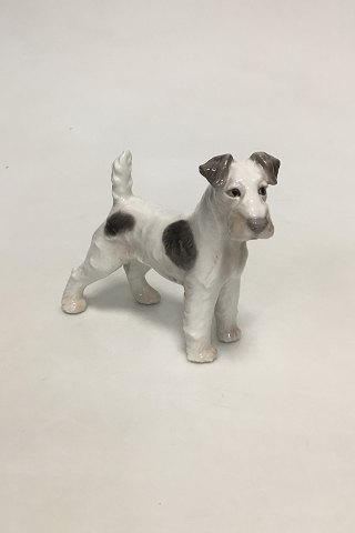 Bing and Grondahl Figurine of the Wire Foxterrier No. 1998