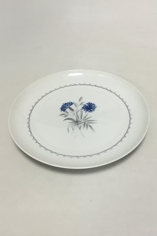 Bing & Grøndahl Demeter / White Cornflower Lunch Plate No 26