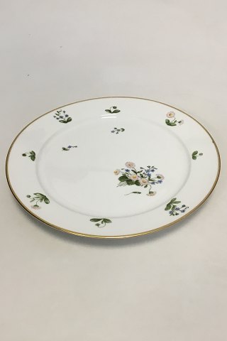 Royal Copenhagen Daisy and Coltsfoot Large Round Dish