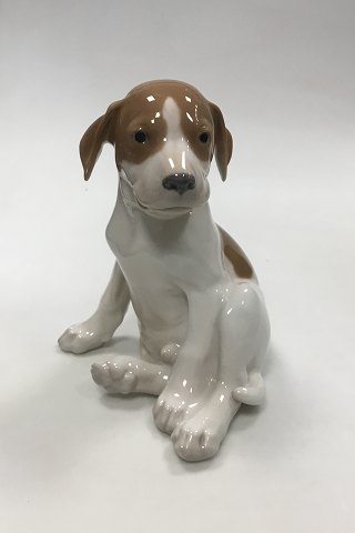 Royal Copenhagen Figurine of sitting Pointer No 1453/259