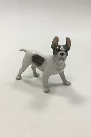 Royal Copenhagen Figurine of Boston terrier No 1457
