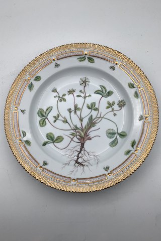 Royal Copenhagen Flora Danica Dinner Plate No. 624 (20/3549)