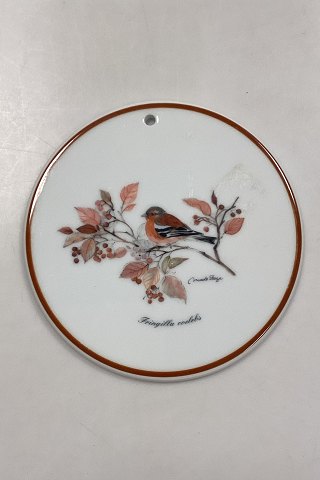 Mads Stage Trivit - Eurasian Chaffinch
