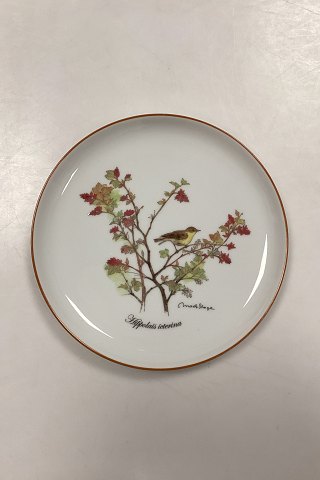 Mads Stage Annual Plate - Icterine warbler 2015