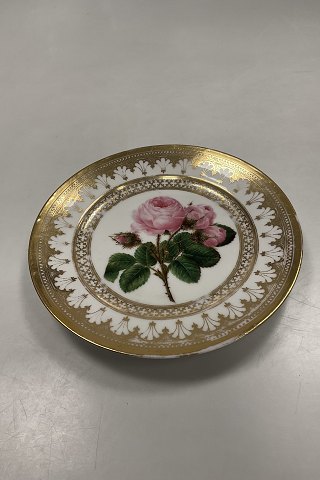 Royal Copenhagen Antique Plate with Flower Motif and gold. Signed by Christian  Klein from 1820-1850