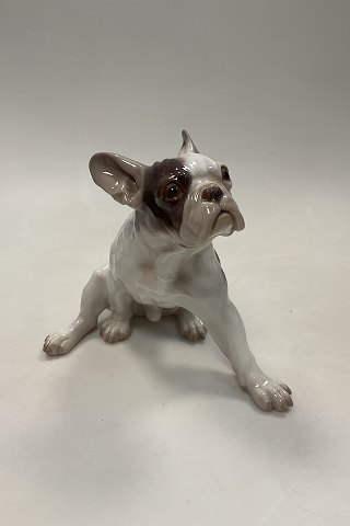Bing and Grondahl Figurine French Bulldog No. 2000