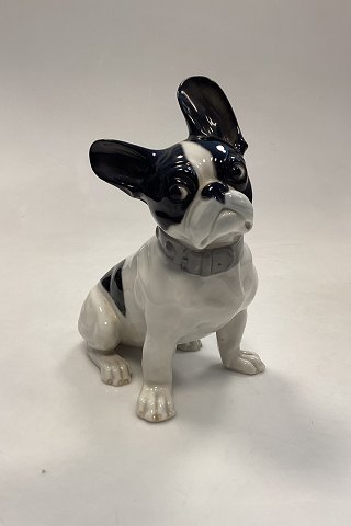 German Heubach Porcelain Figurine of French Bulldog
