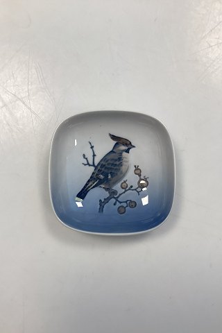 Royal Copenhagen Little square Dish with Bohemian waxwing No. 5172