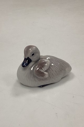 Royal Copenhagen figurine Swan Chick No. 362