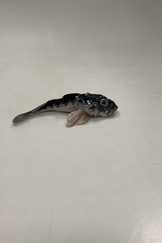 Royal Copenhagen Figur of Sculpin No 464