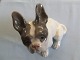 Royal Copenhagen Figurine French Bulldog No 956