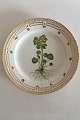 Royal Copenhagen Vintage Flora Danica Luncheon Plate No 3550