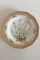 Royal Copenhagen Flora Danica Pierced Luncheon Plate No 3554 Antique Myosotis 
Stricta Link.