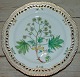 Royal Copenhagen Flora Danica Dinner Plate with pierced border 20/3553