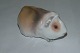 Bing & Grondahl Figurine Guinea-pig No 1558