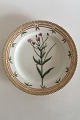 Royal Copenhagen Flora Danica Lunch Plate No 3550 Rare Arnold Krog production 
1904-1908