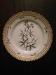 Royal Copenhagen Flora Danica Side Bread Plate No 3552