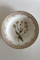 Royal Copenhagen Flora Danica deep Plate No 3546