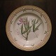 Royal Copenhagen Flora Danica Dinner Plate No 3549