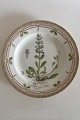 Royal Copenhagen Flora Danica Dinner Plate No 3549