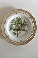 Royal Copenhagen Flora Danica Fruit Plate No 429/3584. Measures 22cm and is in 
perfect condition. Pre 1900  No 102