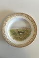 Flora Danica Bird Dinner Plate No 240/3549