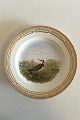 Flora Danica Bird Dinner Plate No 240/3549