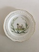 Royal Copenhagen Flora Danica Plate No 3584 Antique from 1860-1880