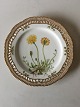 Royal Copenhagen Flora Danica Luncheon Plate with Pierced Border No. 20/3554