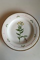 Royal Copenhagen Flora Danica Dinner Plate No 735/3549