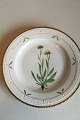 Royal Copenhagen Flora Danica Dinner Plate No 735/3549