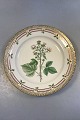 Royal Copenhagen Flora Danica Lunch Plate No 20/3550