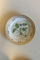 Royal Copenhagen Flora Danica Salad Plate No 20/3573